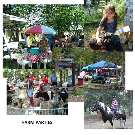Farm Party